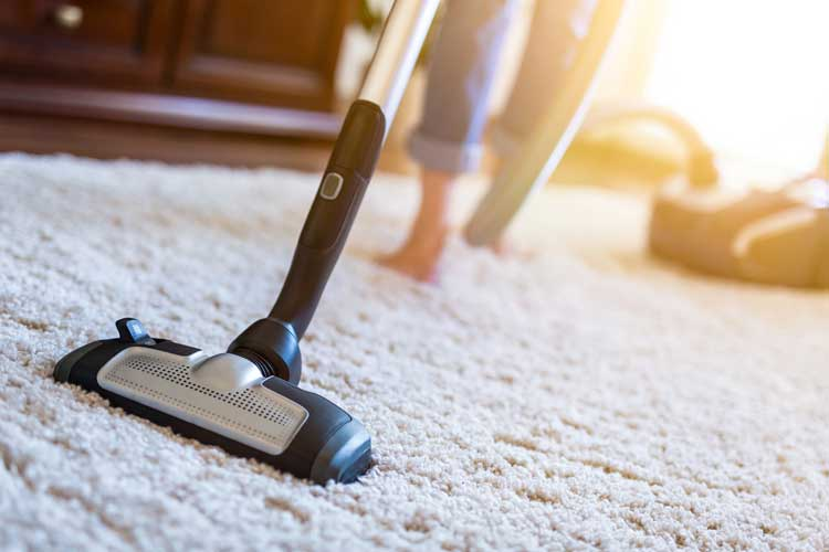Important to Do Regular Carpet Cleaning