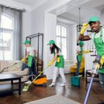domestic home cleaning