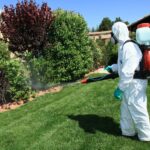 Pest Control for Home and Garden