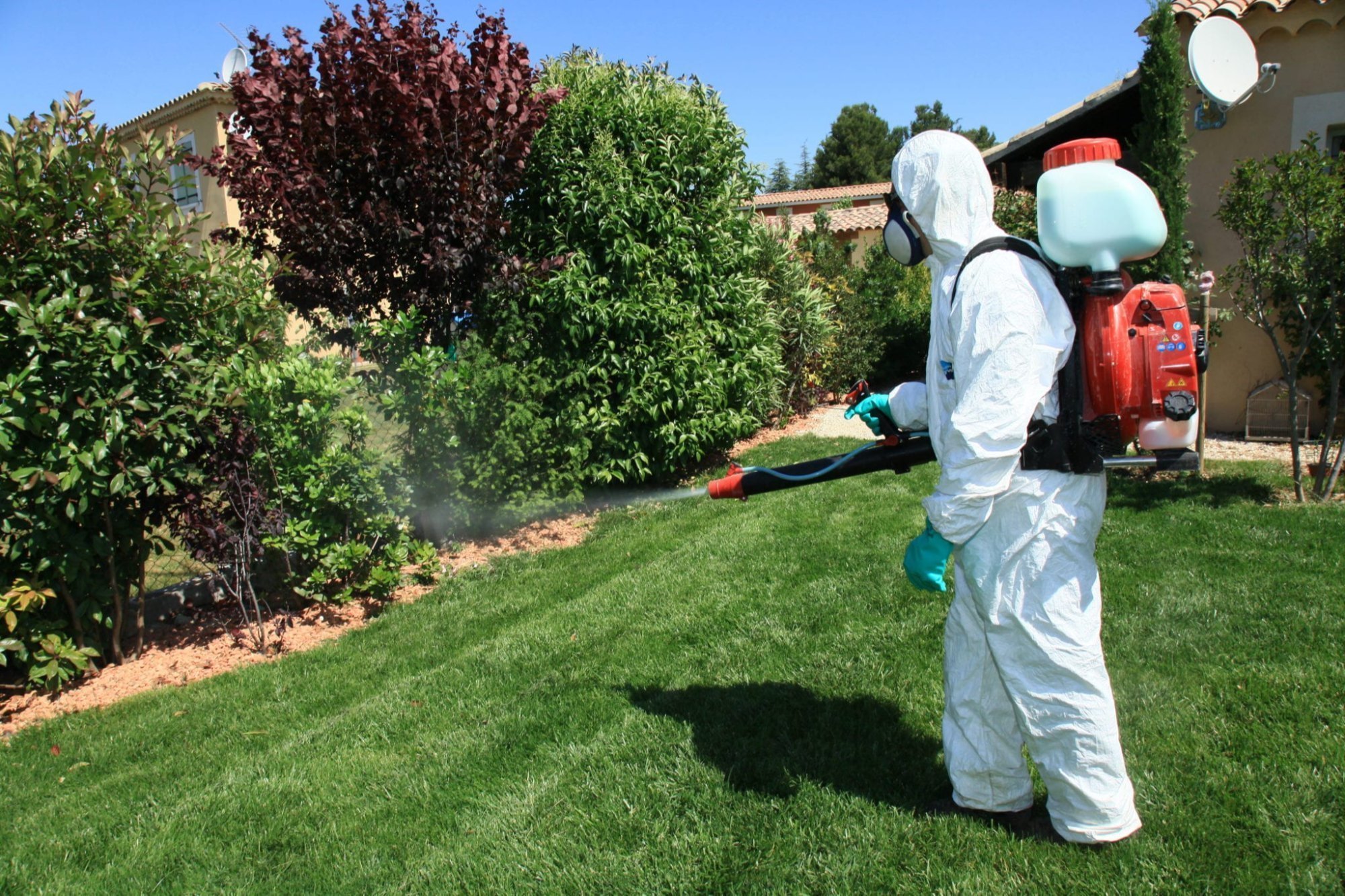 Pest Control for Home and Garden